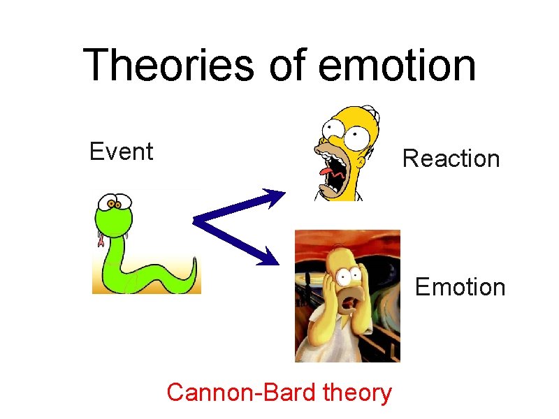 Theories of emotion Event Reaction Emotion Cannon-Bard theory 