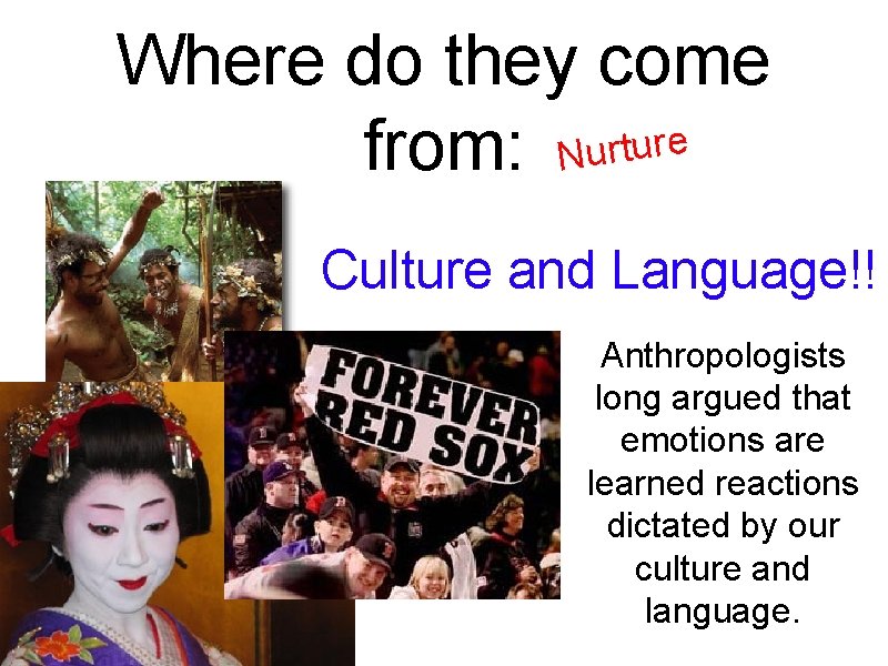 Where do they come e r u t r u from: N Culture and