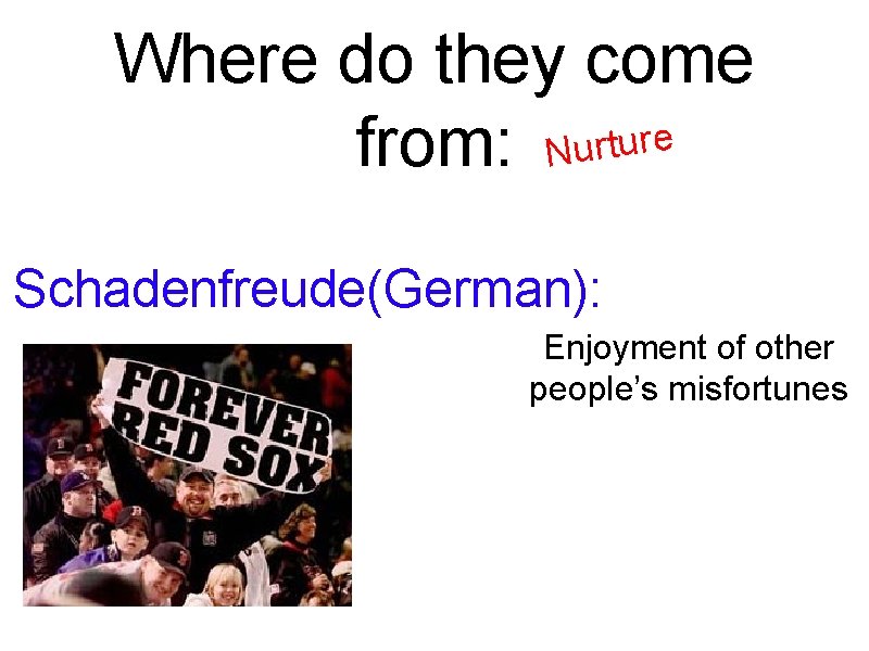 Where do they come e r u t r u from: N Schadenfreude(German): Enjoyment