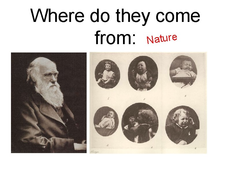 Where do they come from: Nature 