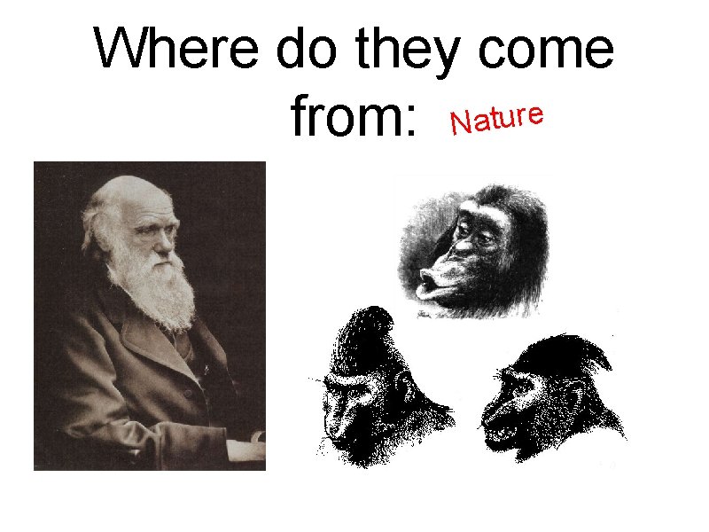 Where do they come from: Nature 