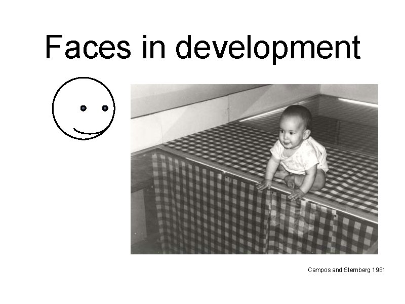 Faces in development Campos and Sternberg 1981 