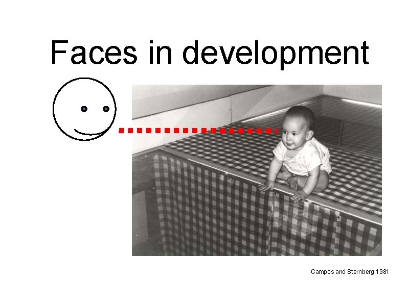 Faces in development Campos and Sternberg 1981 