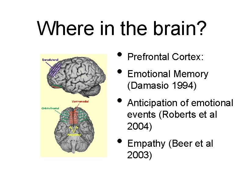 Where in the brain? • Prefrontal Cortex: • Emotional Memory (Damasio 1994) • Anticipation