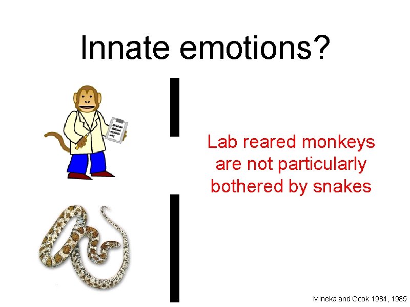 Innate emotions? Lab reared monkeys are not particularly bothered by snakes Mineka and Cook