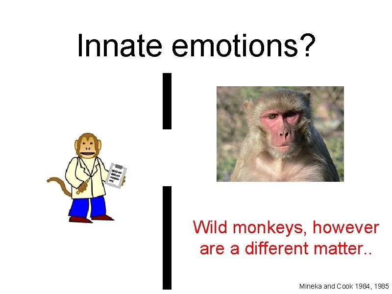 Innate emotions? Wild monkeys, however are a different matter. . Mineka and Cook 1984,