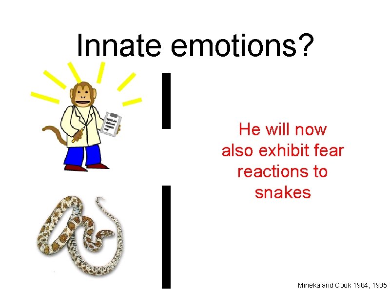 Innate emotions? He will now also exhibit fear reactions to snakes Mineka and Cook