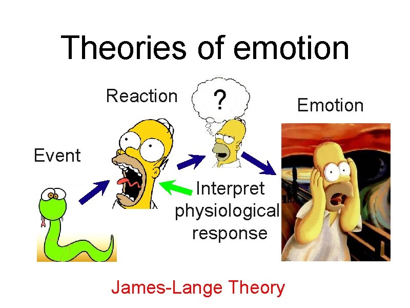 Theories of emotion Reaction Event Interpret physiological response James-Lange Theory Emotion 