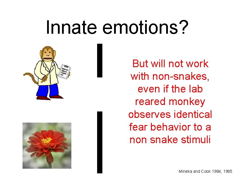 Innate emotions? But will not work with non-snakes, even if the lab reared monkey