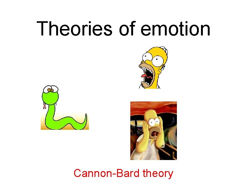 Theories of emotion Cannon-Bard theory 