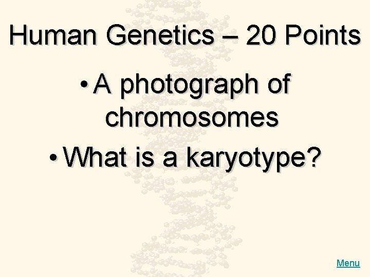 Human Genetics – 20 Points • A photograph of chromosomes • What is a