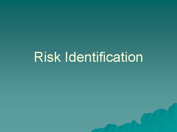 Risk Identification 