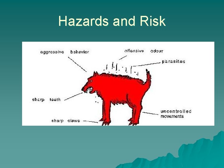 Hazards and Risk 