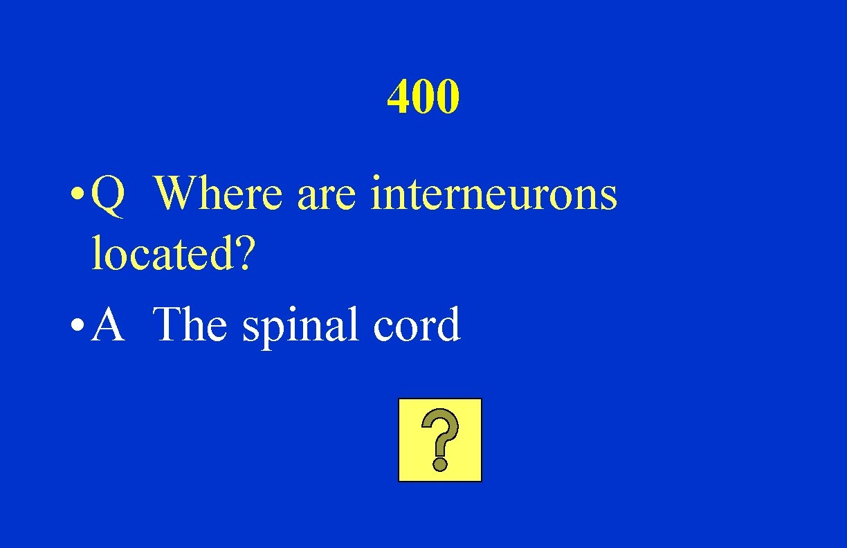 400 • Q Where are interneurons located? • A The spinal cord 