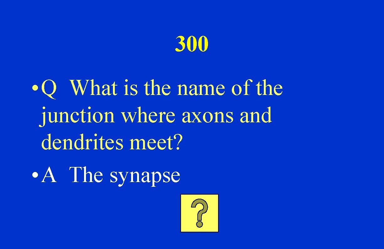 300 • Q What is the name of the junction where axons and dendrites