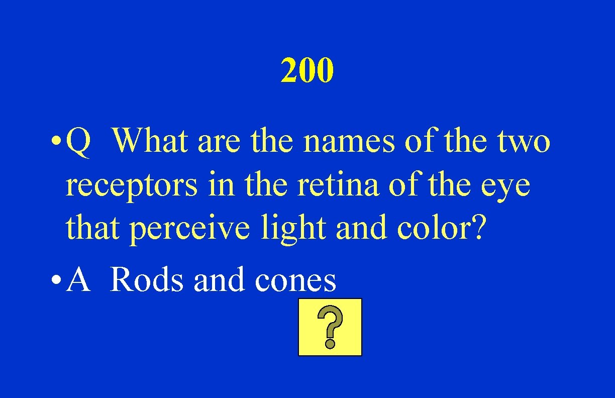 200 • Q What are the names of the two receptors in the retina