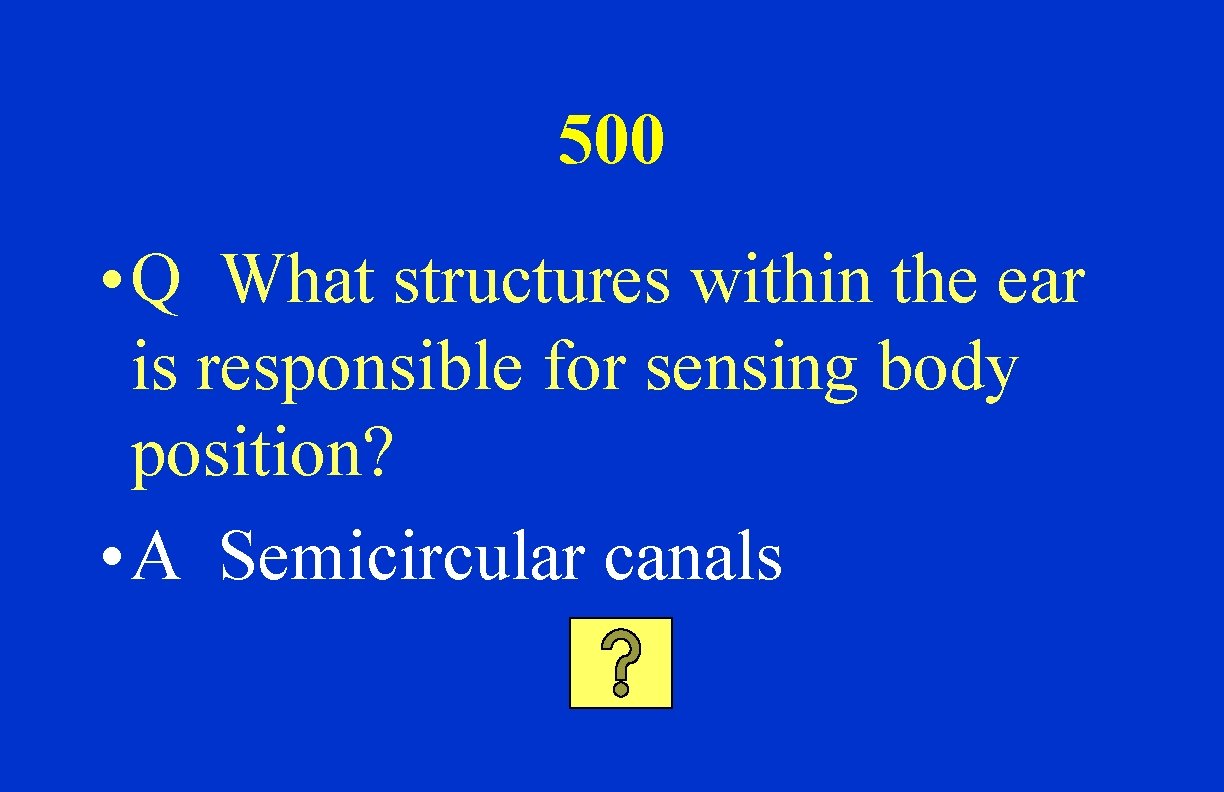 500 • Q What structures within the ear is responsible for sensing body position?