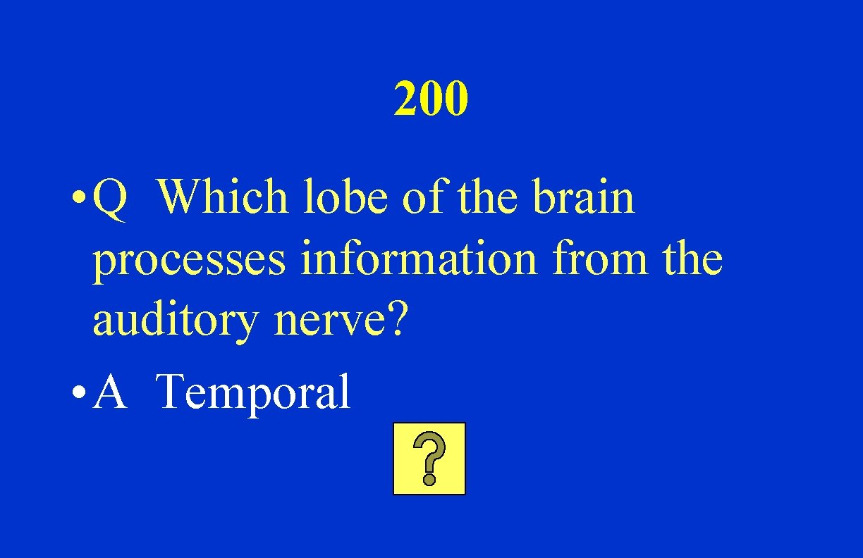200 • Q Which lobe of the brain processes information from the auditory nerve?