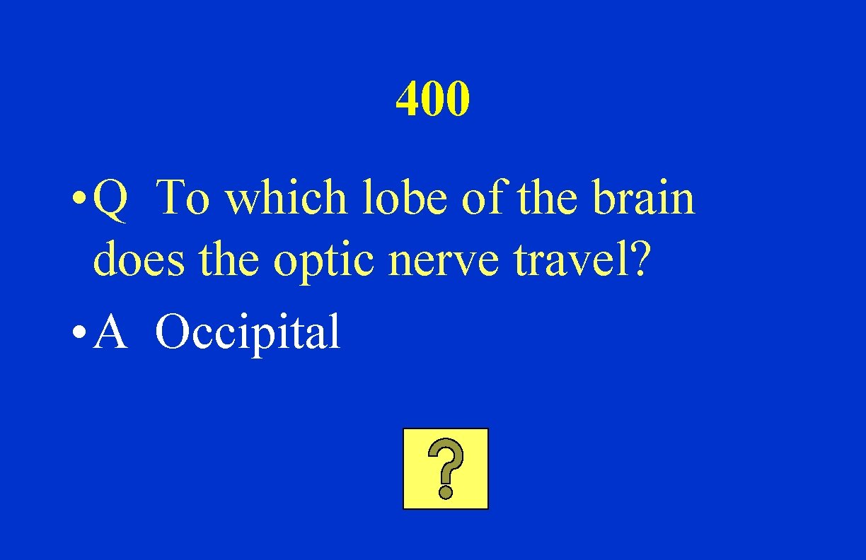 400 • Q To which lobe of the brain does the optic nerve travel?