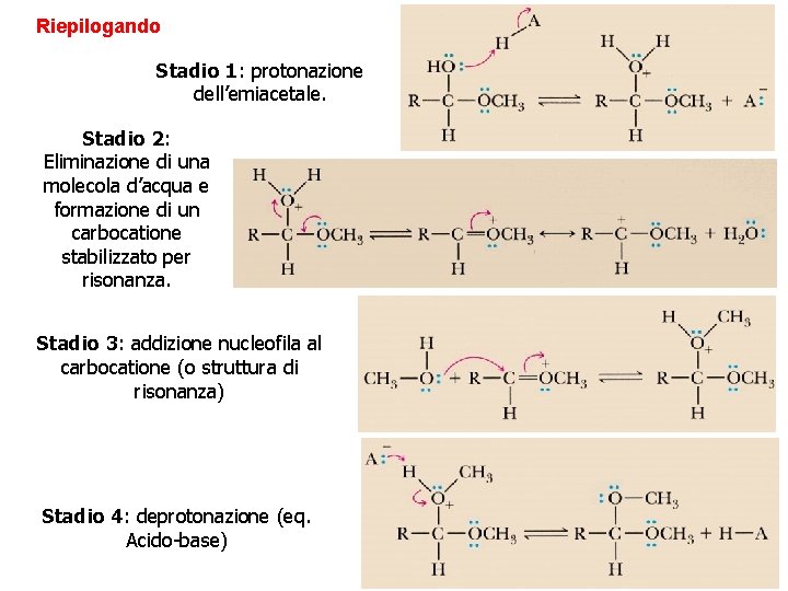 Riepilogando Stadio 1: protonazione dell’emiacetale. Stadio 2: Eliminazione di una molecola d’acqua e formazione Riepilogando Stadio 1: protonazione dell’emiacetale. Stadio 2: Eliminazione di una molecola d’acqua e formazione