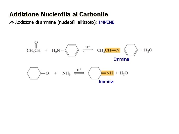 Addizione Nucleofila al Carbonile Addizione di ammine (nucleofili all’azoto): IMMINE Immina Addizione Nucleofila al Carbonile Addizione di ammine (nucleofili all’azoto): IMMINE Immina