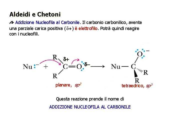 Aldeidi e Chetoni Addizione Nucleofila al Carbonile Il carbonio carbonilico, avente una parziale carica Aldeidi e Chetoni Addizione Nucleofila al Carbonile Il carbonio carbonilico, avente una parziale carica