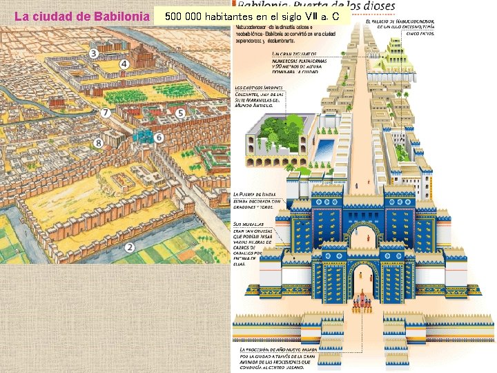 La ciudad de Babilonia 500 000 habitantes en el siglo VII a. C 1.