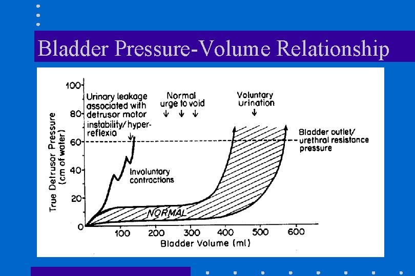Bladder Pressure-Volume Relationship 