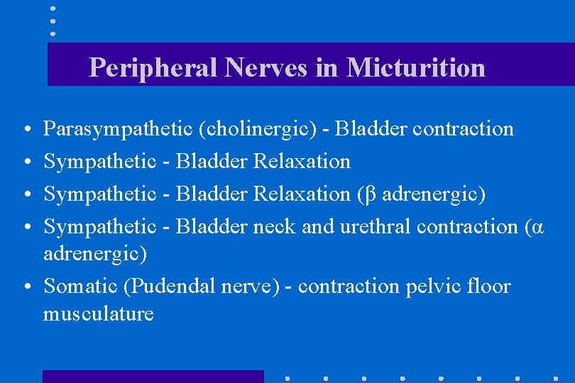 Peripheral Nerves in Micturition • • Parasympathetic (cholinergic) - Bladder contraction Sympathetic - Bladder