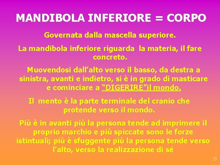 MANDIBOLA INFERIORE = CORPO Governata dalla mascella superiore. La mandibola inferiore riguarda la materia,