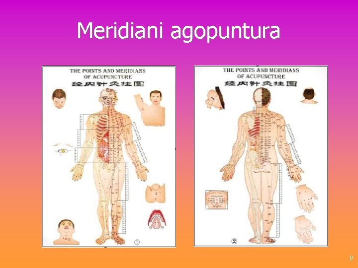 Meridiani agopuntura 9 
