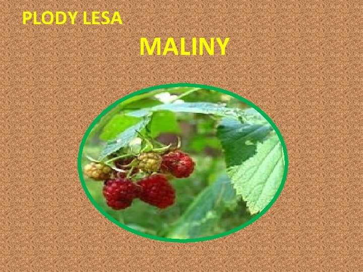 PLODY LESA MALINY 