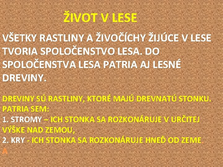 ŽIVOT V LESE VŠETKY RASTLINY A ŽIVOČÍCHY ŽIJÚCE V LESE TVORIA SPOLOČENSTVO LESA. DO