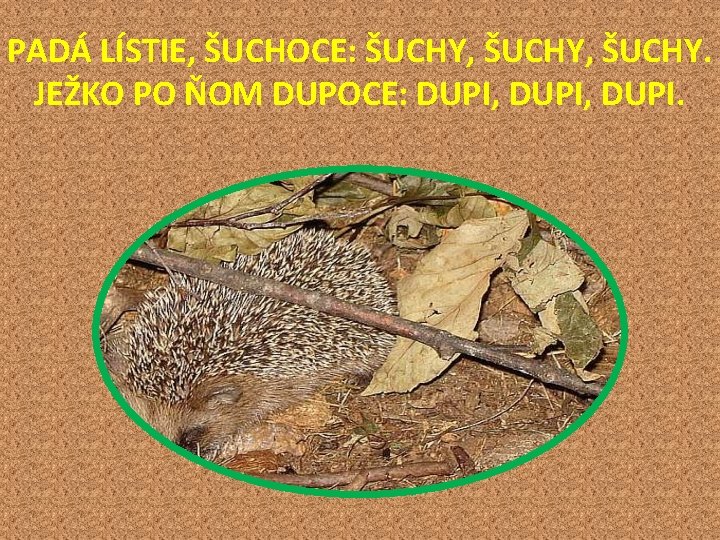 PADÁ LÍSTIE, ŠUCHOCE: ŠUCHY, ŠUCHY. JEŽKO PO ŇOM DUPOCE: DUPI, DUPI. 