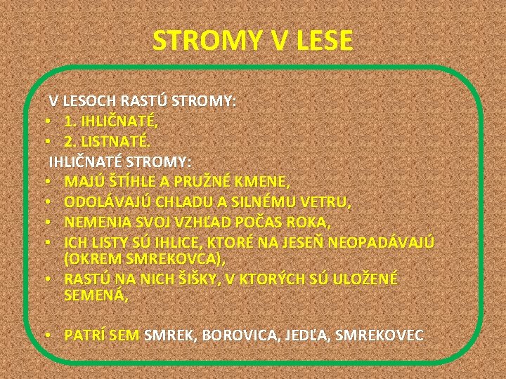 STROMY V LESE V LESOCH RASTÚ STROMY: • 1. IHLIČNATÉ, • 2. LISTNATÉ. IHLIČNATÉ