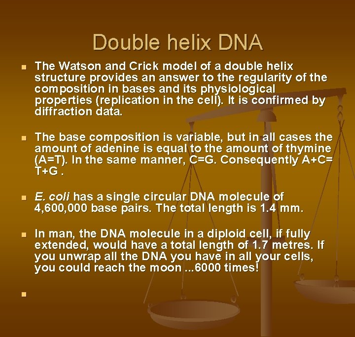 Double helix DNA n The Watson and Crick model of a double helix structure Double helix DNA n The Watson and Crick model of a double helix structure