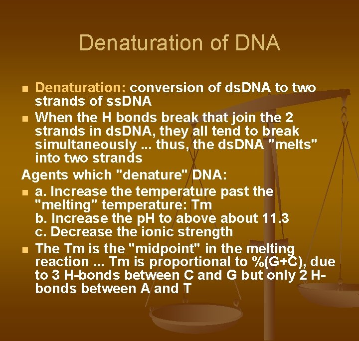 Denaturation of DNA Denaturation: conversion of ds. DNA to two strands of ss. DNA Denaturation of DNA Denaturation: conversion of ds. DNA to two strands of ss. DNA