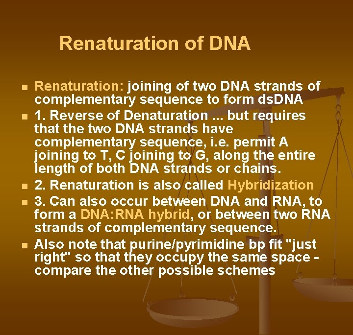 Renaturation of DNA n n n Renaturation: joining of two DNA strands of complementary Renaturation of DNA n n n Renaturation: joining of two DNA strands of complementary