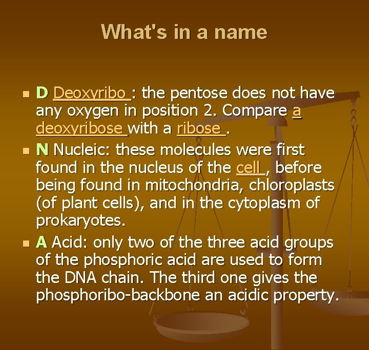 What's in a name n n n D Deoxyribo : the pentose does not What's in a name n n n D Deoxyribo : the pentose does not