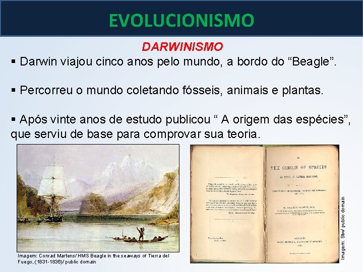 BIOLOGIA, 3º ano As teoria de Lamarck e Darwin EVOLUCIONISMO DARWINISMO § Darwin viajou BIOLOGIA, 3º ano As teoria de Lamarck e Darwin EVOLUCIONISMO DARWINISMO § Darwin viajou