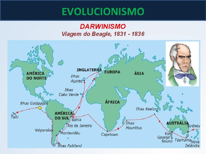 BIOLOGIA, 3º ano As teoria de Lamarck e Darwin EVOLUCIONISMO DARWINISMO Viagem do Beagle, BIOLOGIA, 3º ano As teoria de Lamarck e Darwin EVOLUCIONISMO DARWINISMO Viagem do Beagle,