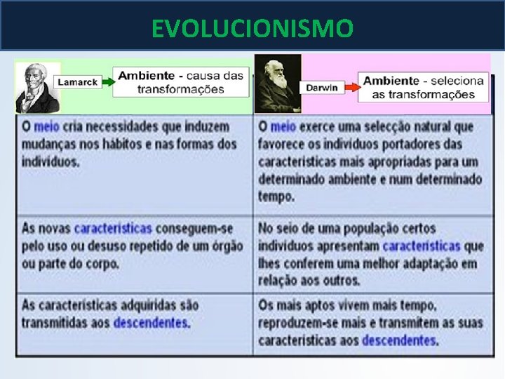 EVOLUCIONISMO EVOLUCIONISMO