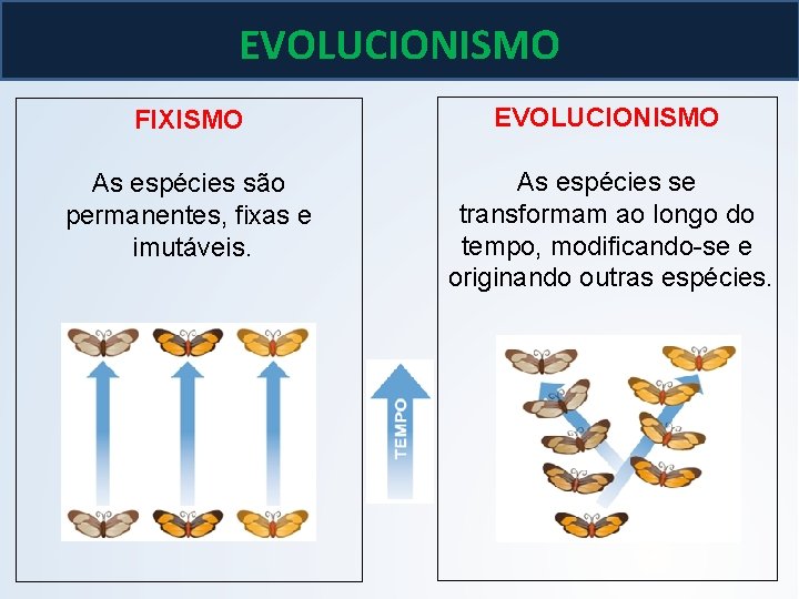 EVOLUCIONISMO FIXISMO EVOLUCIONISMO As espécies são permanentes, fixas e imutáveis. As espécies se transformam EVOLUCIONISMO FIXISMO EVOLUCIONISMO As espécies são permanentes, fixas e imutáveis. As espécies se transformam