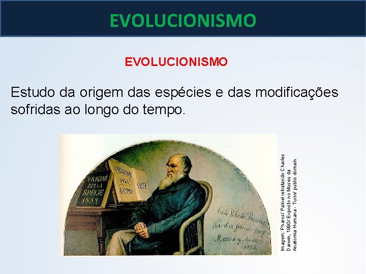 BIOLOGIA, 3º ano As teoria de Lamarck e Darwin EVOLUCIONISMO Imagem: Pharos/ Painel retratando BIOLOGIA, 3º ano As teoria de Lamarck e Darwin EVOLUCIONISMO Imagem: Pharos/ Painel retratando