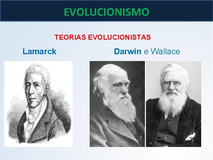 BIOLOGIA, 3º ano As teoria de Lamarck e Darwin EVOLUCIONISMO TEORIAS EVOLUCIONISTAS Lamarck Darwin BIOLOGIA, 3º ano As teoria de Lamarck e Darwin EVOLUCIONISMO TEORIAS EVOLUCIONISTAS Lamarck Darwin