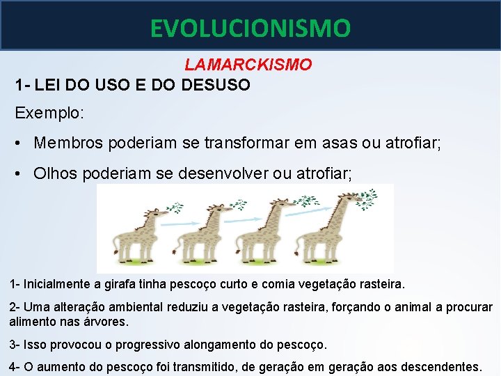BIOLOGIA, 3º ano As teoria de Lamarck e Darwin EVOLUCIONISMO LAMARCKISMO 1 - LEI BIOLOGIA, 3º ano As teoria de Lamarck e Darwin EVOLUCIONISMO LAMARCKISMO 1 - LEI