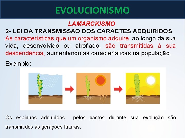 BIOLOGIA, 3º ano As teoria de Lamarck e Darwin EVOLUCIONISMO LAMARCKISMO 2 - LEI BIOLOGIA, 3º ano As teoria de Lamarck e Darwin EVOLUCIONISMO LAMARCKISMO 2 - LEI
