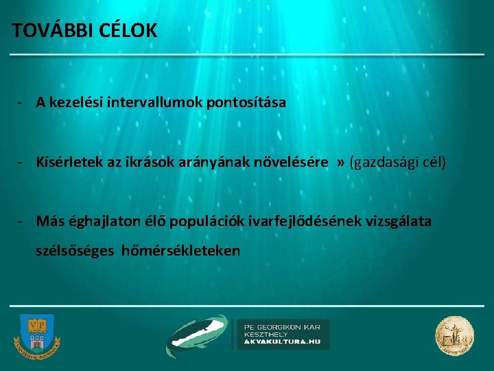 TOVÁBBI CÉLOK - A kezelési intervallumok pontosítása - Kísérletek az ikrások arányának növelésére » TOVÁBBI CÉLOK - A kezelési intervallumok pontosítása - Kísérletek az ikrások arányának növelésére »