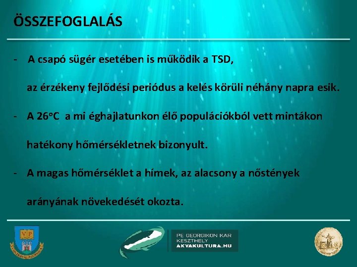 ÖSSZEFOGLALÁS - A csapó sügér esetében is működik a TSD, az érzékeny fejlődési periódus