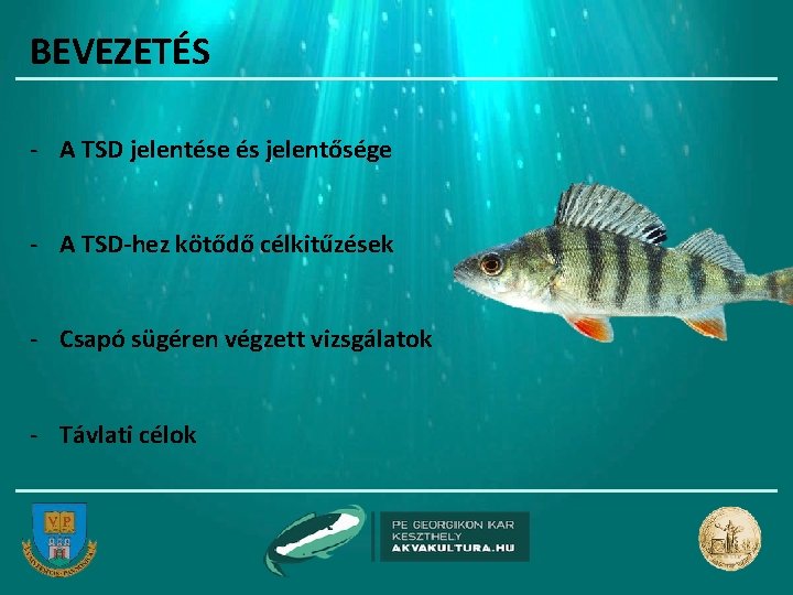 BEVEZETÉS - A TSD jelentése és jelentősége - A TSD-hez kötődő célkitűzések - Csapó